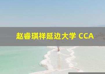 赵睿琪祥延边大学 CCA